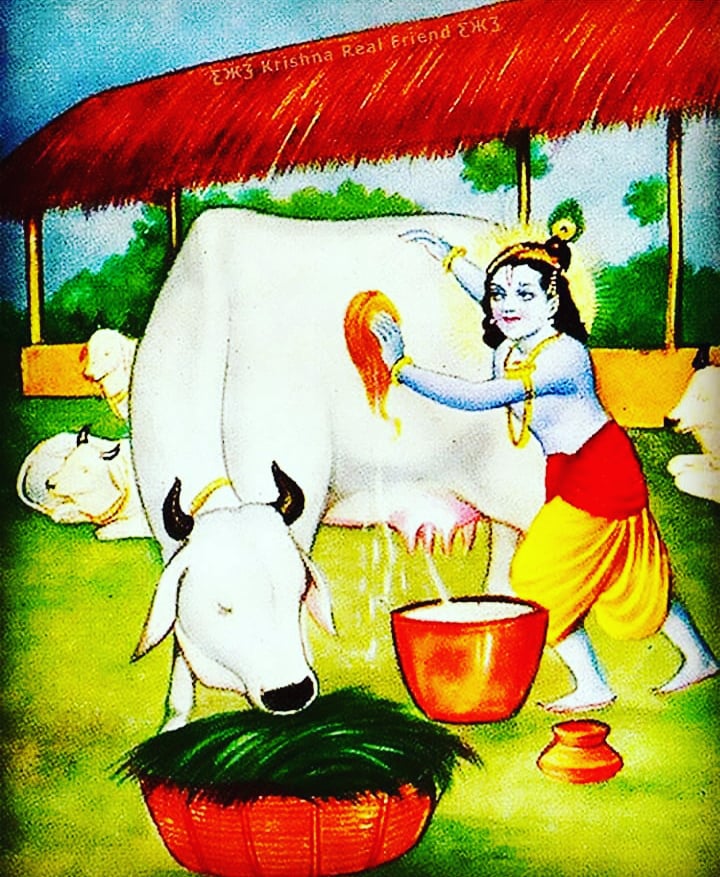 THE STORY OF DIVINE SURABHI MATAIn one of the previous chapters we have mentioned that after Rishi Dadhichi gave his bones to construct weapons to devtas for destroying Vritrasur they had called Surabhi cow to lick away the flesh. So who is Surabhi cow.