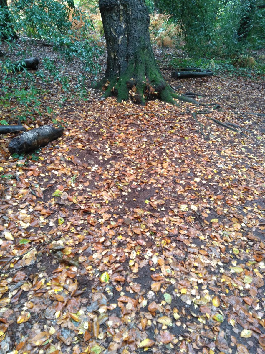 GW Geography Department tweet media