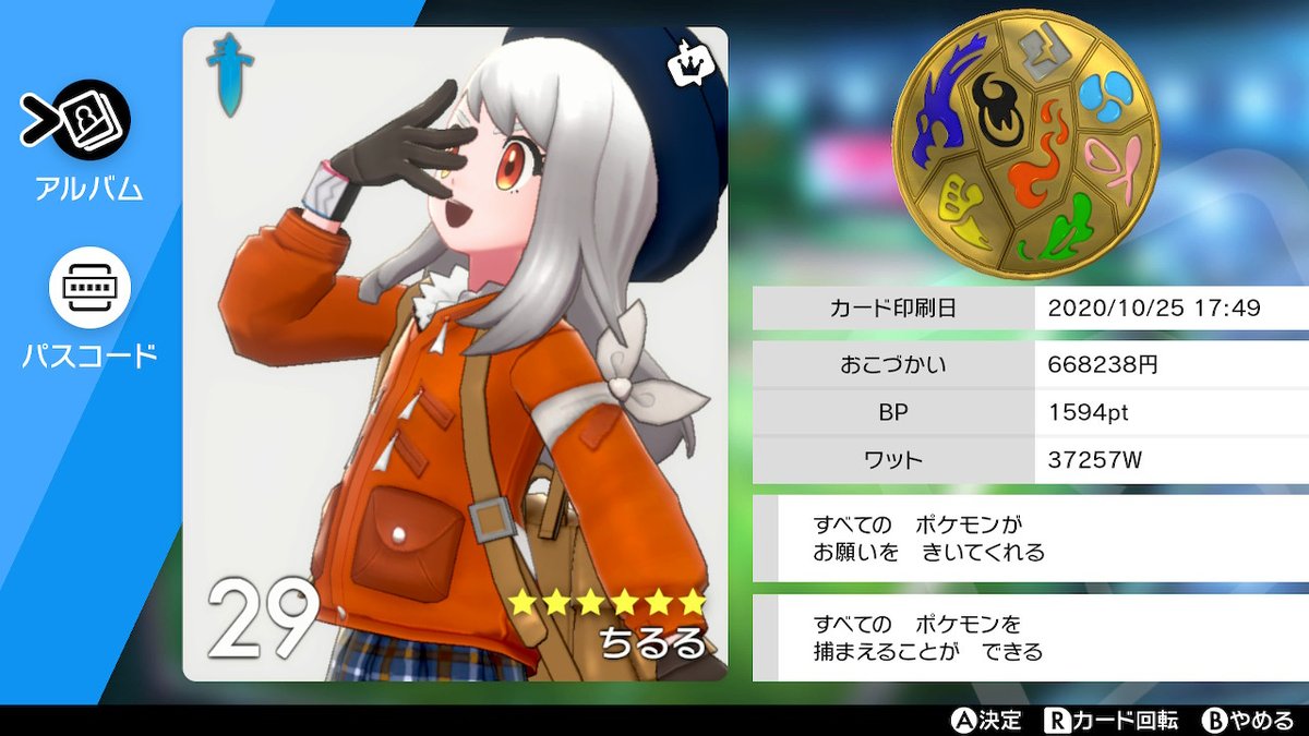 ちるるのスクショ用 ポケモン剣盾 Nintendoswitch