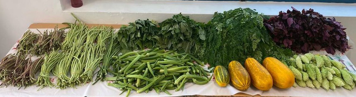 Lalitha Suresh (@lalithasuresh2) on Twitter photo The soil and the plants of OIS is blessed with the love of staff and students and is reflected in the outcome. <a href="/gemsoois/">GEMS Our Own Indian</a> <a href="/TheNationalNews/">The National</a> <a href="/KHDA/">KHDA | هيئة المعرفة والتنمية البشرية بدبي</a> The soil and the plants of OIS is blessed with the love of staff and students and is reflected in the outcome. <a href="/gemsoois/">GEMS Our Own Indian</a> <a href="/TheNationalNews/">The National</a> <a href="/KHDA/">KHDA | هيئة المعرفة والتنمية البشرية بدبي</a>