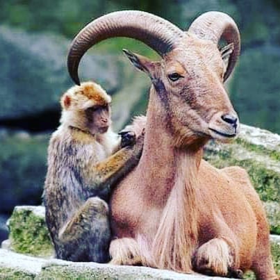 BoyBey_34's tweet photo. #pazar #sabah #doğa https://t.co/YhIir1y8y4