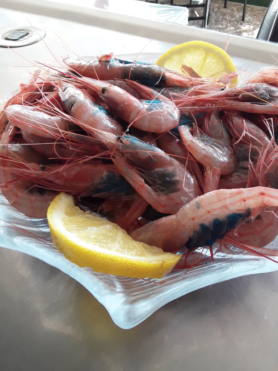 Rest .Campo Verde Los Belones (CampoverdeRest) Twitter