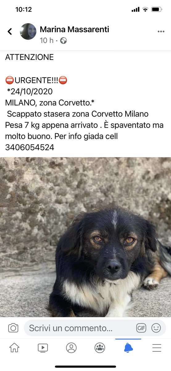 rosariaizzor's tweet photo. MILANO! Zona Corvetto chi lo ha visto?? @metaanto  @evavola https://t.co/WhlGbe3iTz