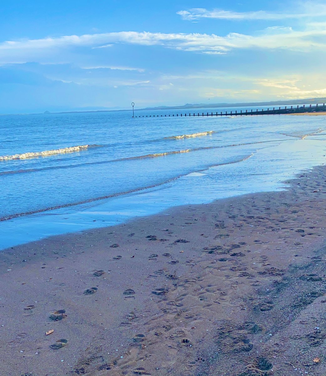PortyLibrary's tweet photo. Morning Porty!

If there was a universal remote for seasons, this would likely be my default “Autumn Morning” setting... ❤️🌤

Happy Sunday to you all! 

#loveporty #chillybutbeautiful https://t.co/twcpo88f8O