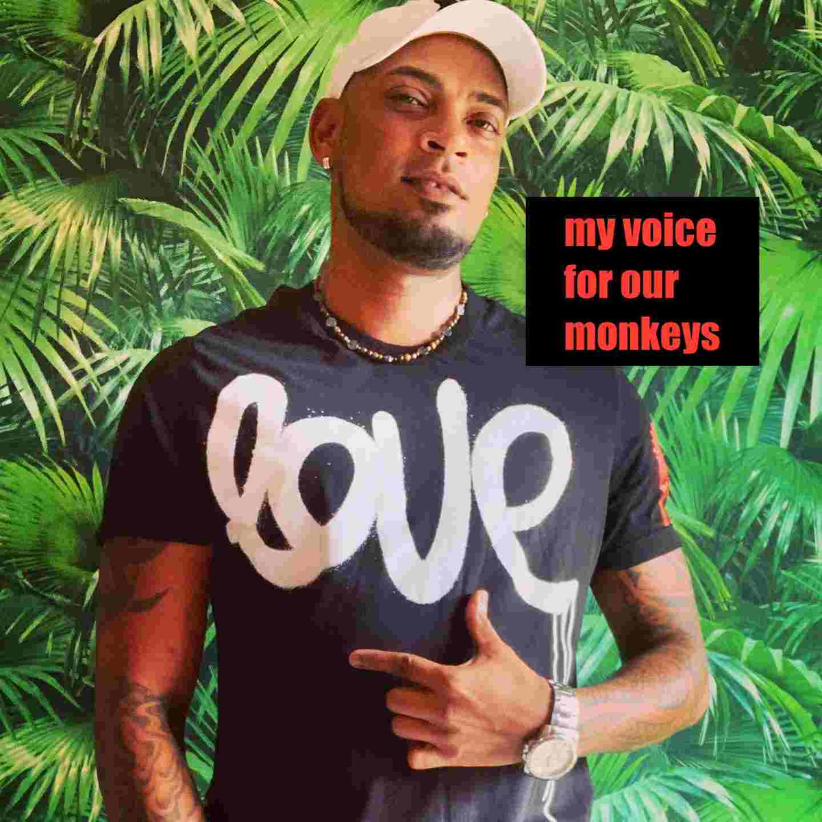 Mr Love joins the other Mauritian artists giving their voices for the monkeys, urging the government of Mauritius to refuse the application made by Biosphere Trading to capture wild monkeys & expand its primate breeding facility to export monkeys for research.