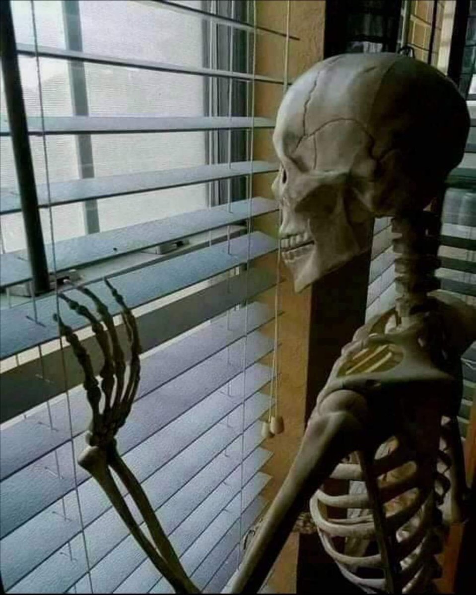 iSaleem92's tweet image. Me waiting for MIUI12 update in Redmi Note 9 pro
@miuirom
@MIUI_India
@MIUI_Indonesia
#miui12
#MIUI12Update
#miui12themes