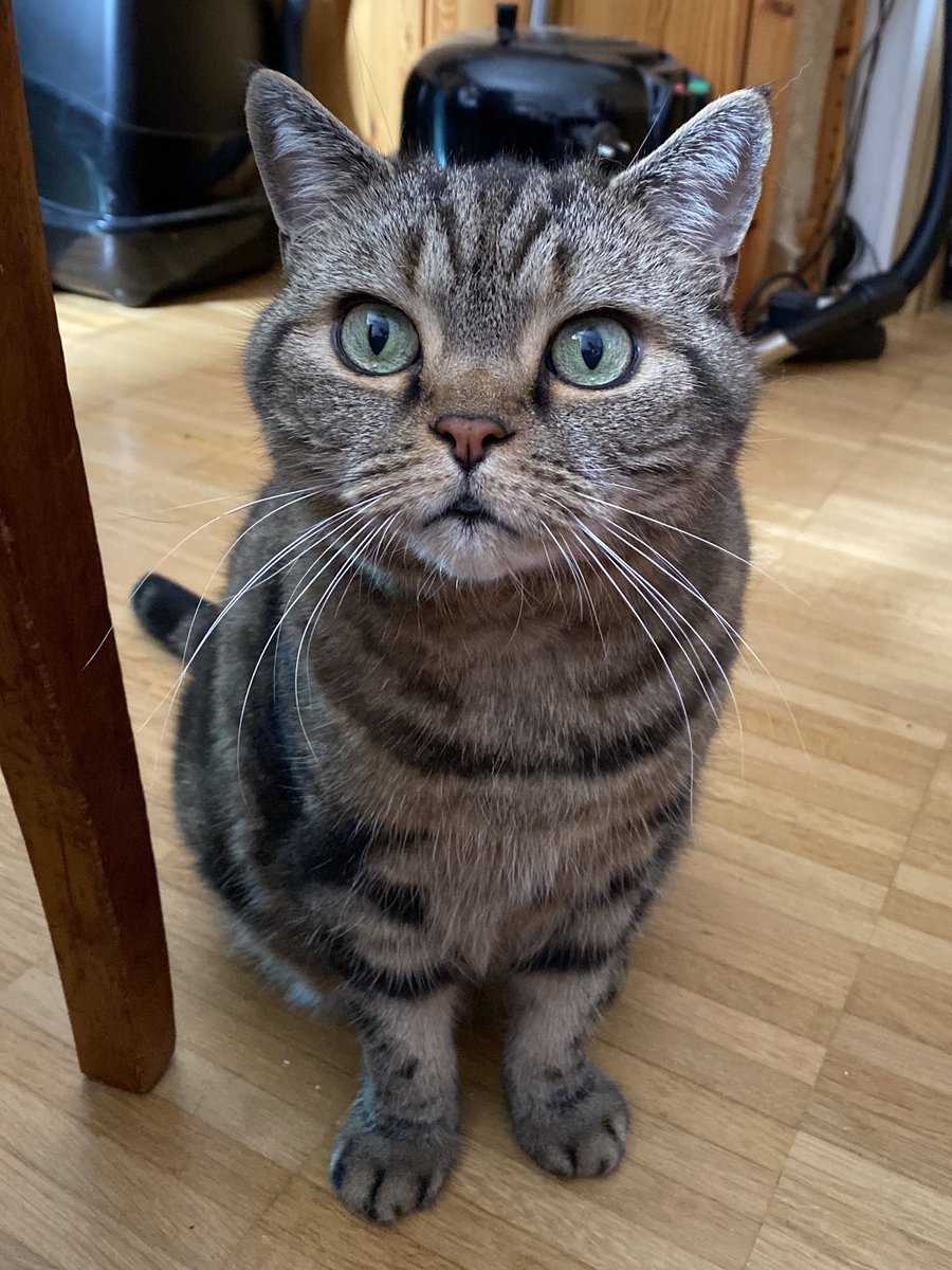 Es ist überhaupt nicht wahr, das ich immer nur meditiere! *malnichtmeditier*