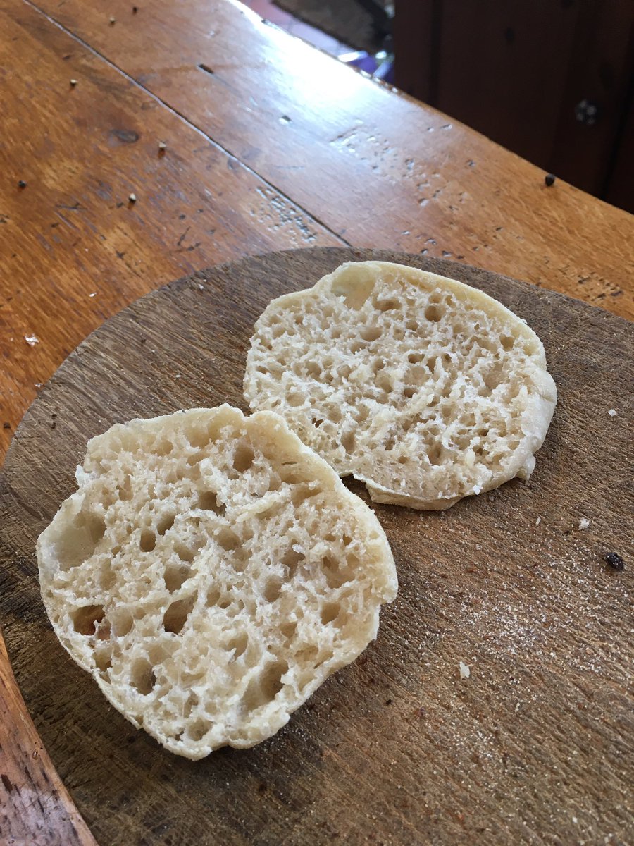 Breadcompanion's tweet photo. #Sourdough muffins for breakfast. Thanks @nytfood for inspiring me to make them @RealBread https://t.co/b2Pu4eoaqA