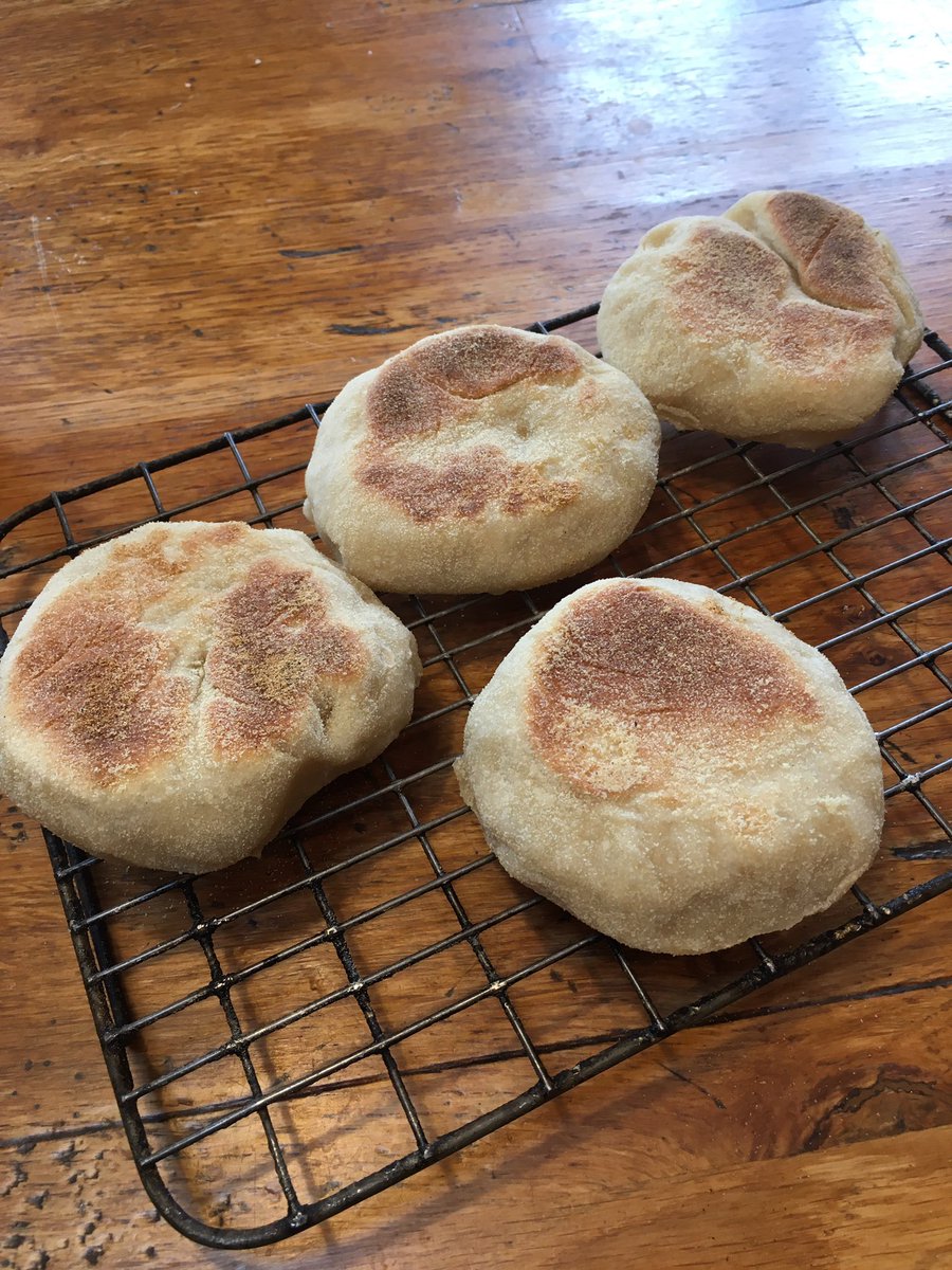 Breadcompanion's tweet photo. #Sourdough muffins for breakfast. Thanks @nytfood for inspiring me to make them @RealBread https://t.co/b2Pu4eoaqA