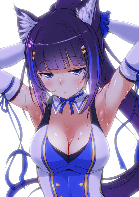 「ぽにがおー #画狼伝説 」|広輪凪のイラスト