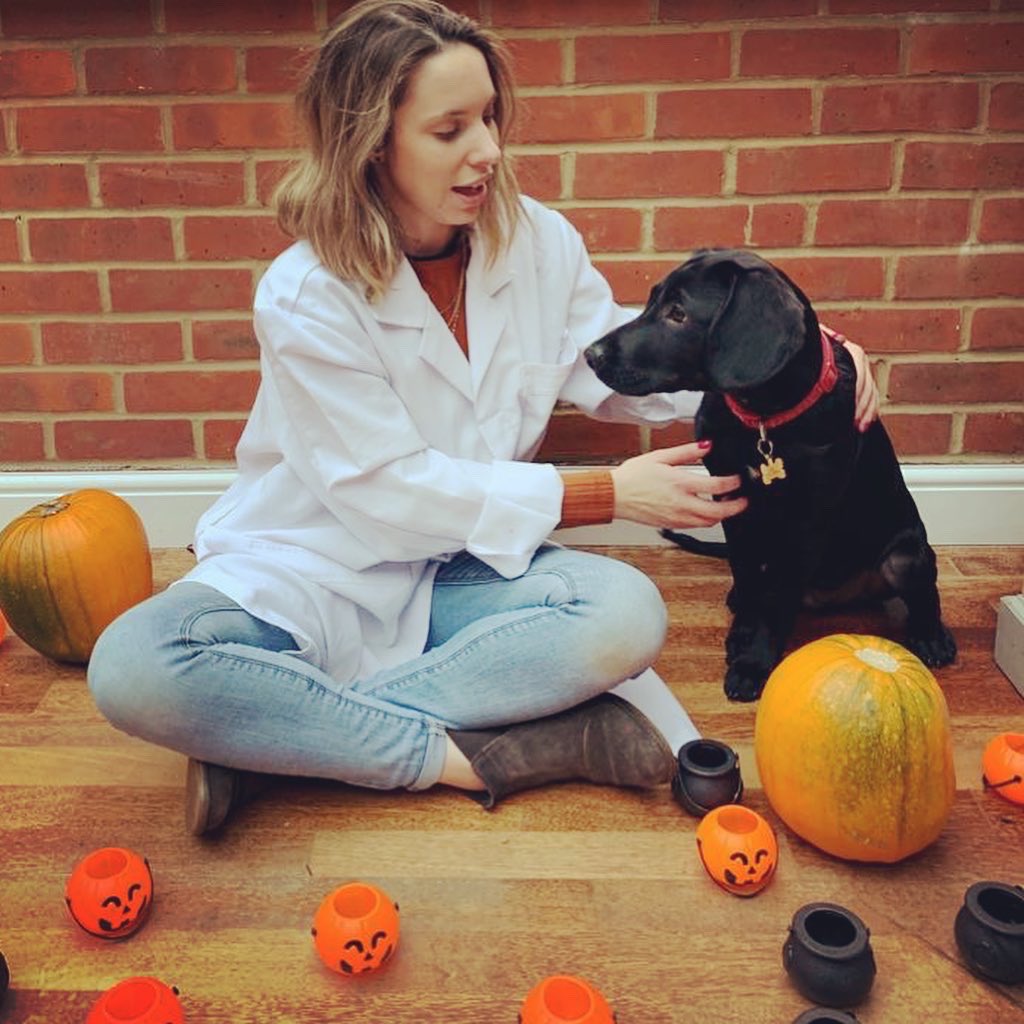 madsciencelive's tweet photo. Mad Pup, Loki, inspected the equipment going out to Camps next week. Thrilled to report he has given us a paws-itive review! 🐾 

#october #halfterm #pumpkin #london #wimbledon #finchley #children #camps #halloween https://t.co/xGlhw7EQop