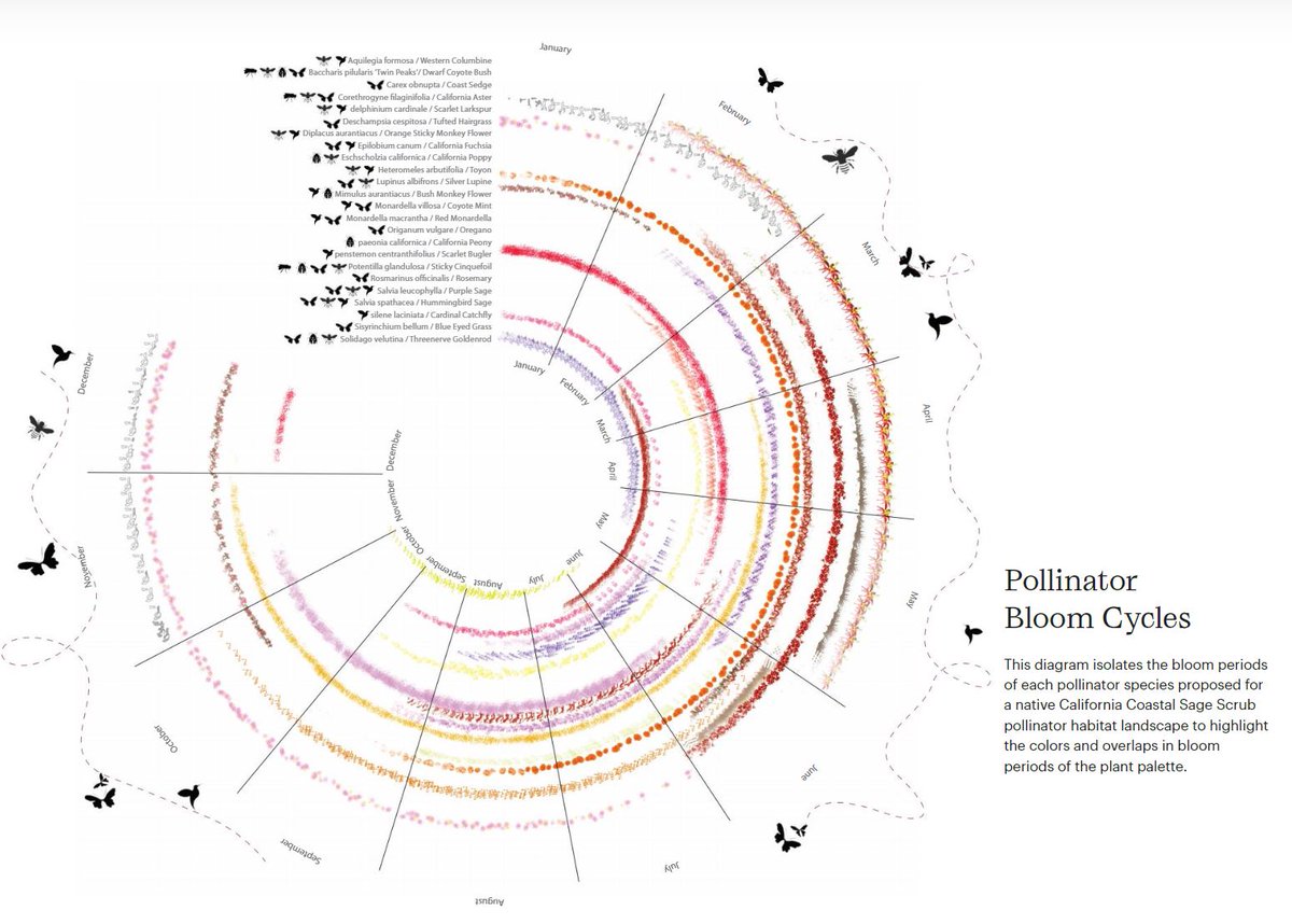 mikebarnett's tweet photo. Great initiative from @RiosImagines to address real issues facing our world. 
Invisible Infrastructure: Integrating Pollinators into Urban Sites  https://t.co/NZZLYnXrce #landarch #lascarch #landscape https://t.co/yZ91pTaFbu