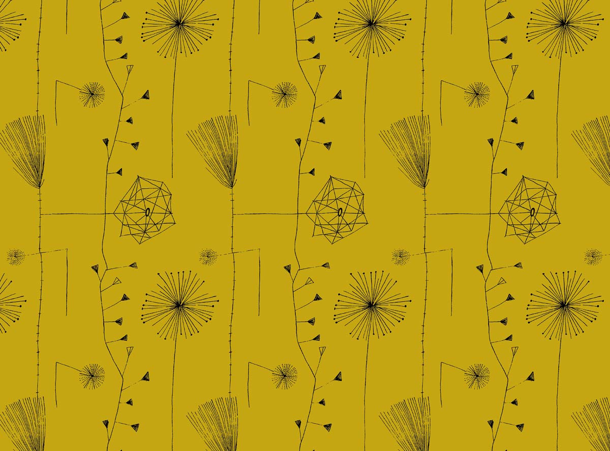 Robin & Lucienne Day tweet media