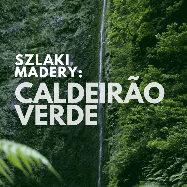 SYTM14's tweet image. Szlak Caldeirão Verde (PR9) na Maderze:
sayyestomadeira.com/lewada-do-cald…
#madera #wyspamadera #portugalia #szlak #naszlaku #góry #blogpodrozniczy #lewady #caldeiraoverde