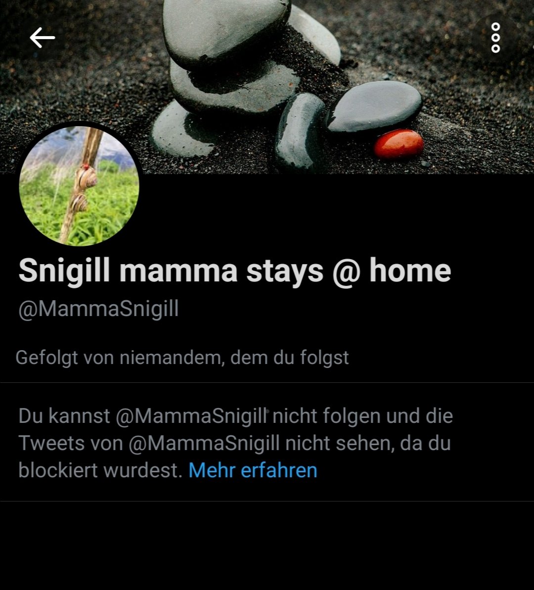 Flock Botze tweet media