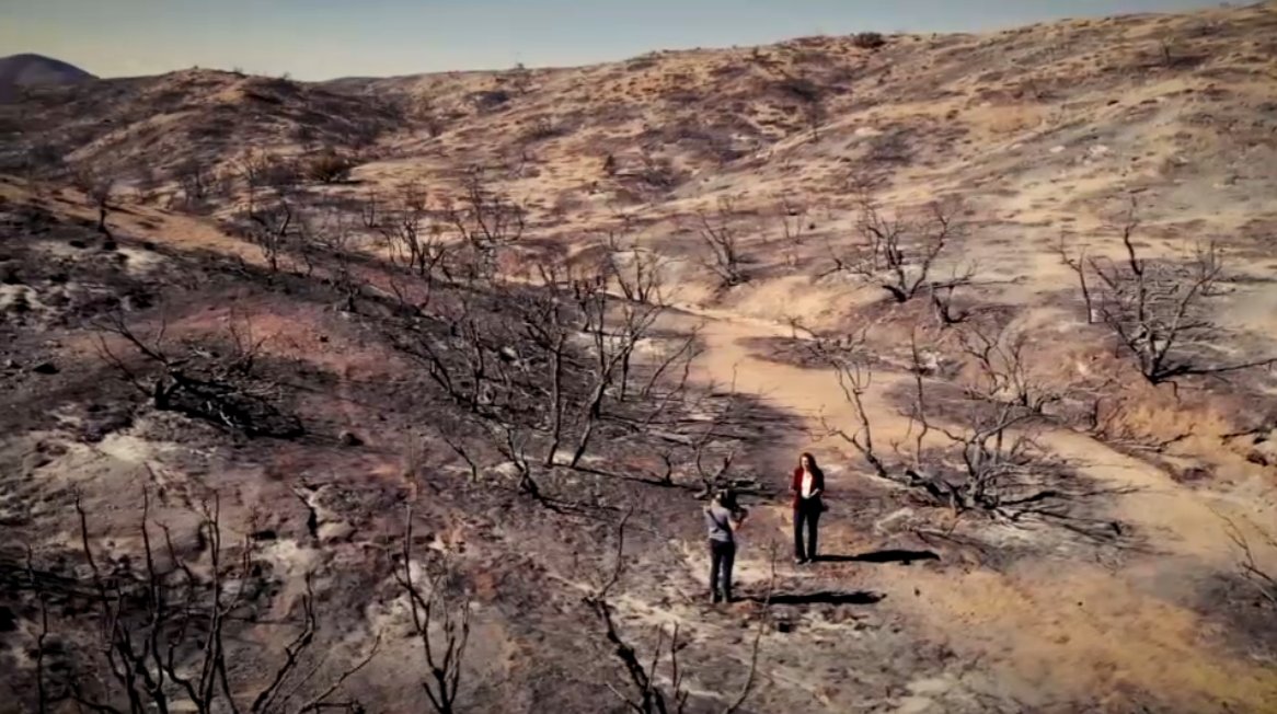 Anne-Claire Coudray tweet media