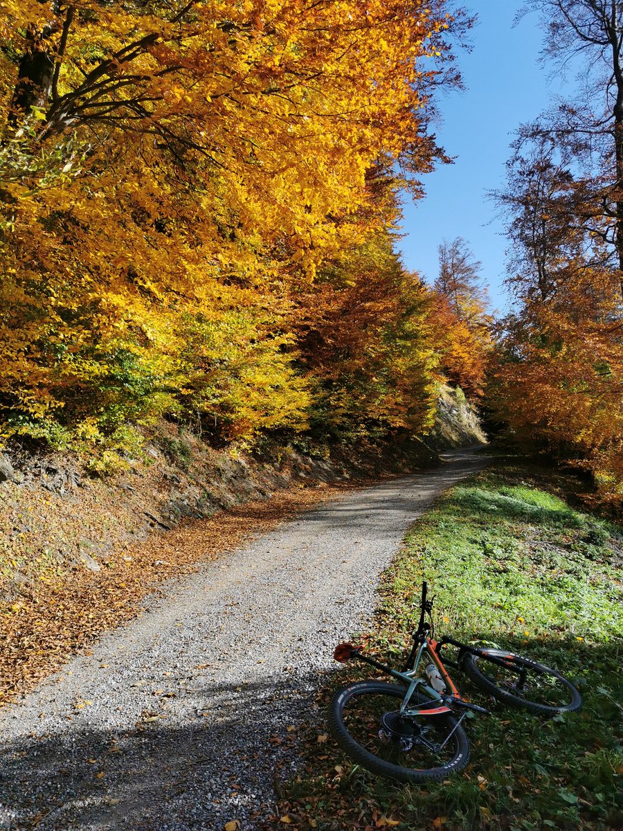 Wunderschöne Herbstfarben im Aufstieg zur #Heidialp mit purer Muskelkraft  #NoEbike #autumn #maienfeld #graubünden #Switzerland