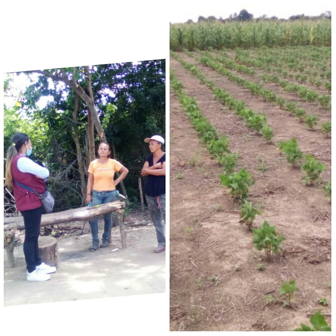 PODEMOS BARINAS tweet media
