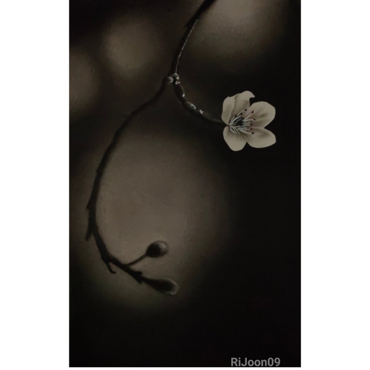 RiJoon09's tweet photo. #sketching #sketches #sketch #art #artoftheday #artistsontwitter #artwork #artists #balckandwhite #blackandwhite #flowers #flower #bloom #springday #springdaybts #btsexpressyourselfart #love #loveyourself #winter #spring #Flowers #charcoaldrawing #charcoal #charcoalart https://t.co/LcDMUSj6iX