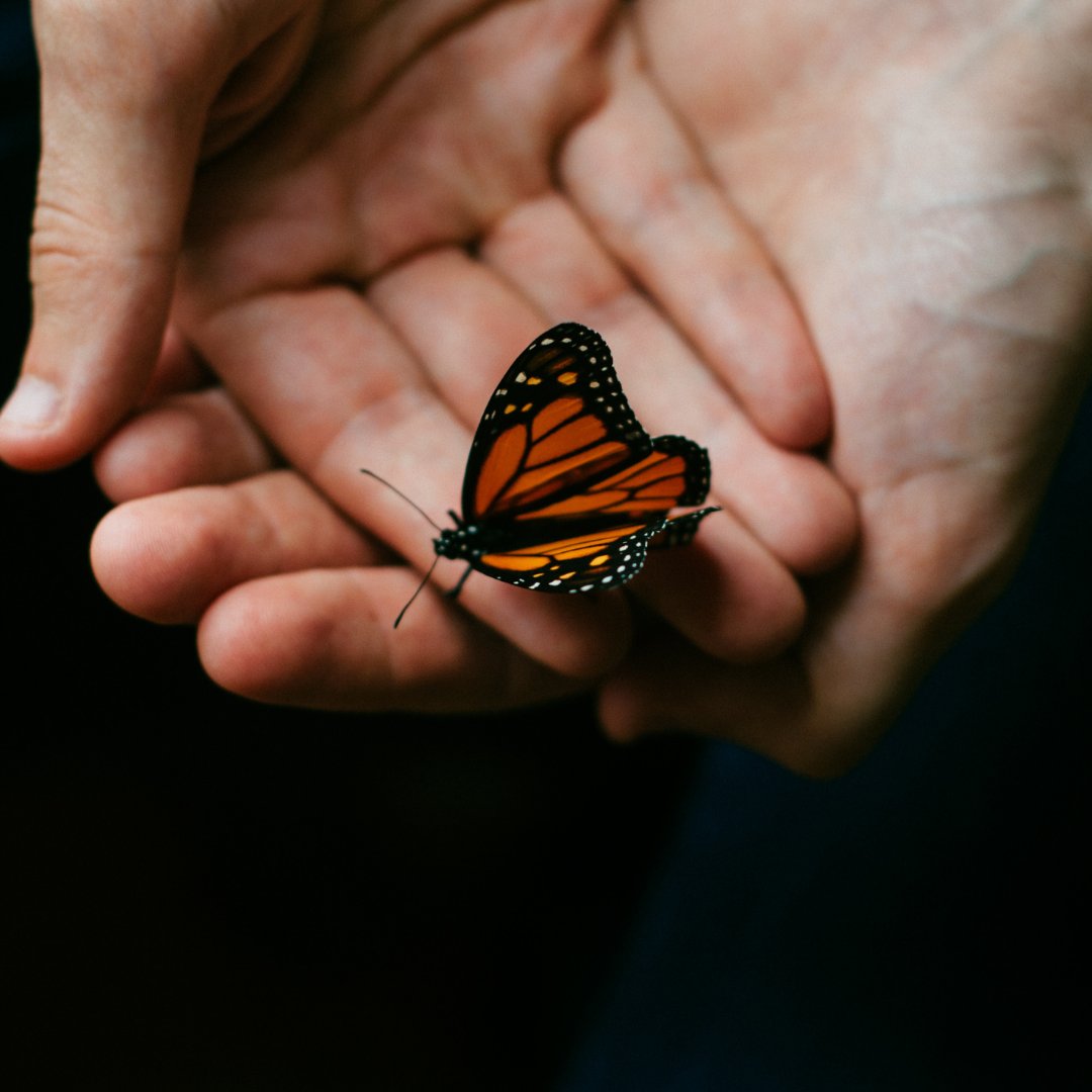 Another important basic component in astrology is aspects. Aspects show the relationship dynamic between planets in your natal chart.

What's your favorite aspect in your natal chart, and how does it play out for you?