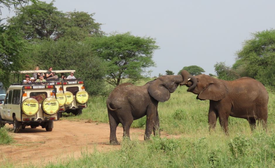Dansk Zoologisk Selskab afholder aften online-møde torsdag d. 19. november 2020 kl. 19-20: Kan turisme bidrage til naturbevarelse og lokal udvikling i Afrika? Se dzs.dk/online-event-k…