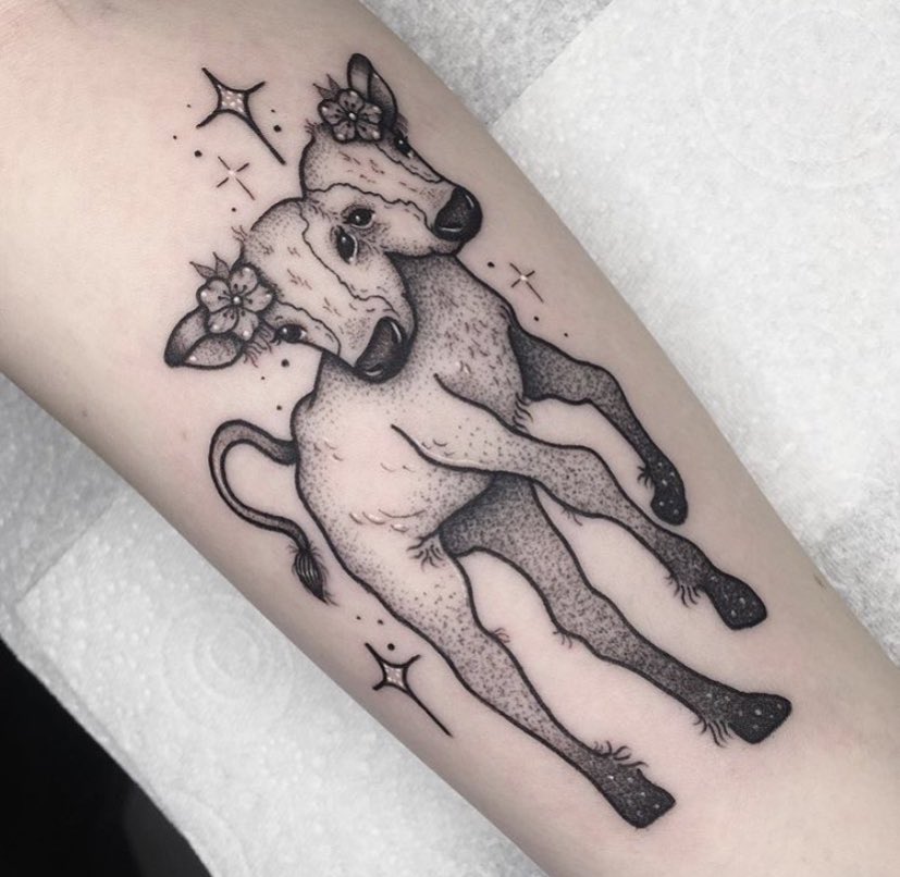 Two headed calf inspired by the Laura Gilpin poem by Nyla at Wild Child  Tattoo in Portland ME  rtattoos