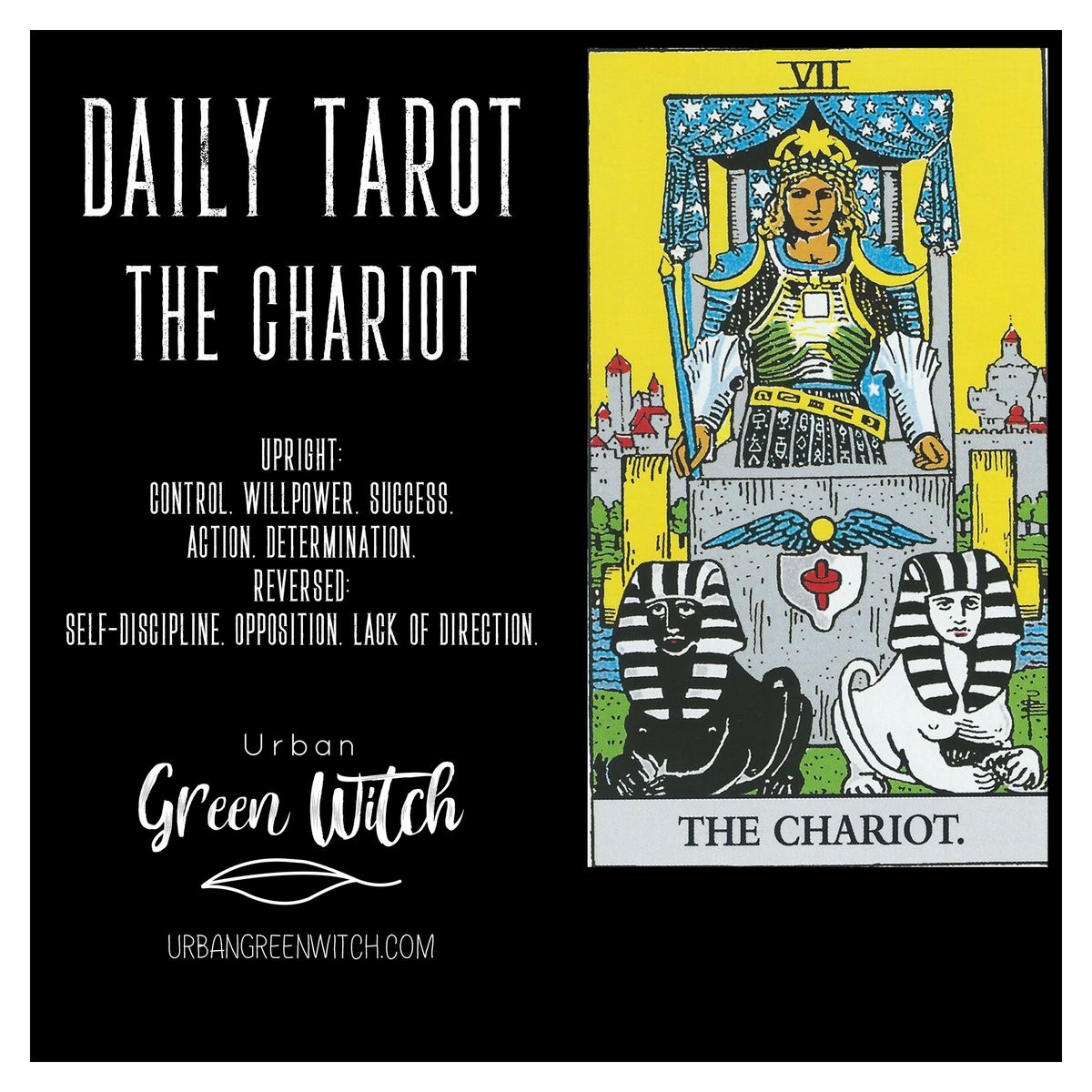 UrbanGreenWitch's tweet photo. The Daily Tarot
The Chariot
Upright: Control, willpower, success, action, determination.
Reversed: Self-discipline, opposition, lack of direction.
Learn More https://t.co/JiGBb2Z94Q  
#TarotReading #dailytarot #TheUrbanGreenWitch #GreenWitch #Pagan #LivingGreen #NewAge #Astro ... https://t.co/sLVuDjsZQ3
