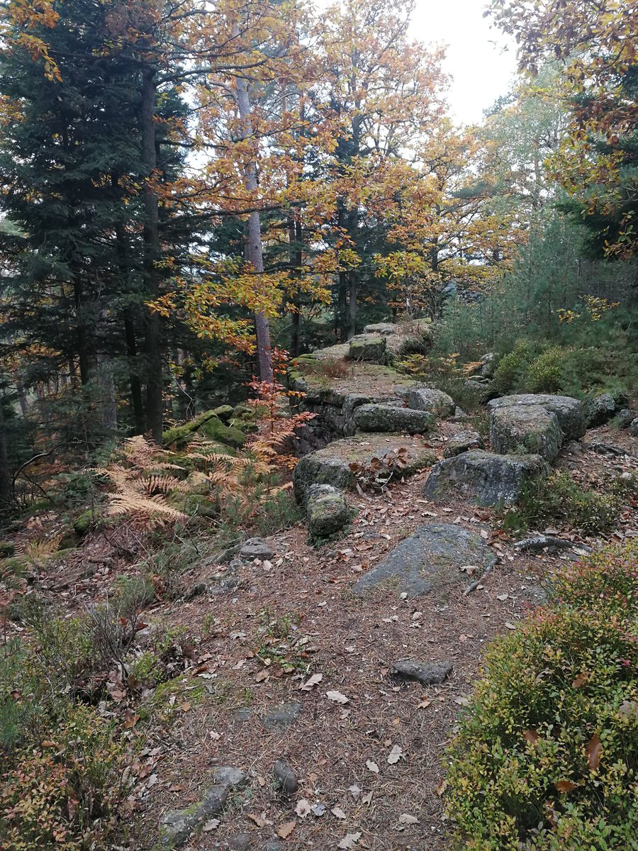 Vincent Laurent tweet media