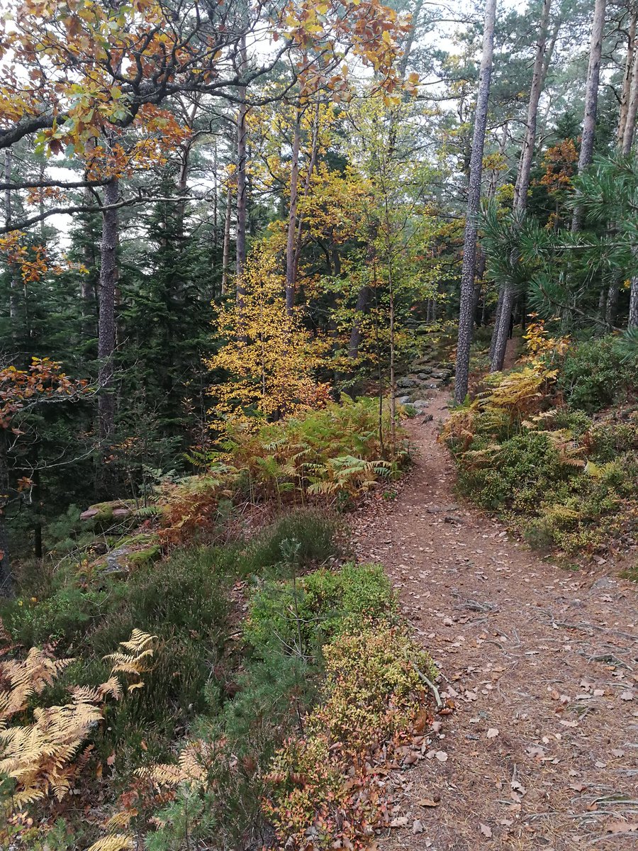 Vincent Laurent tweet media