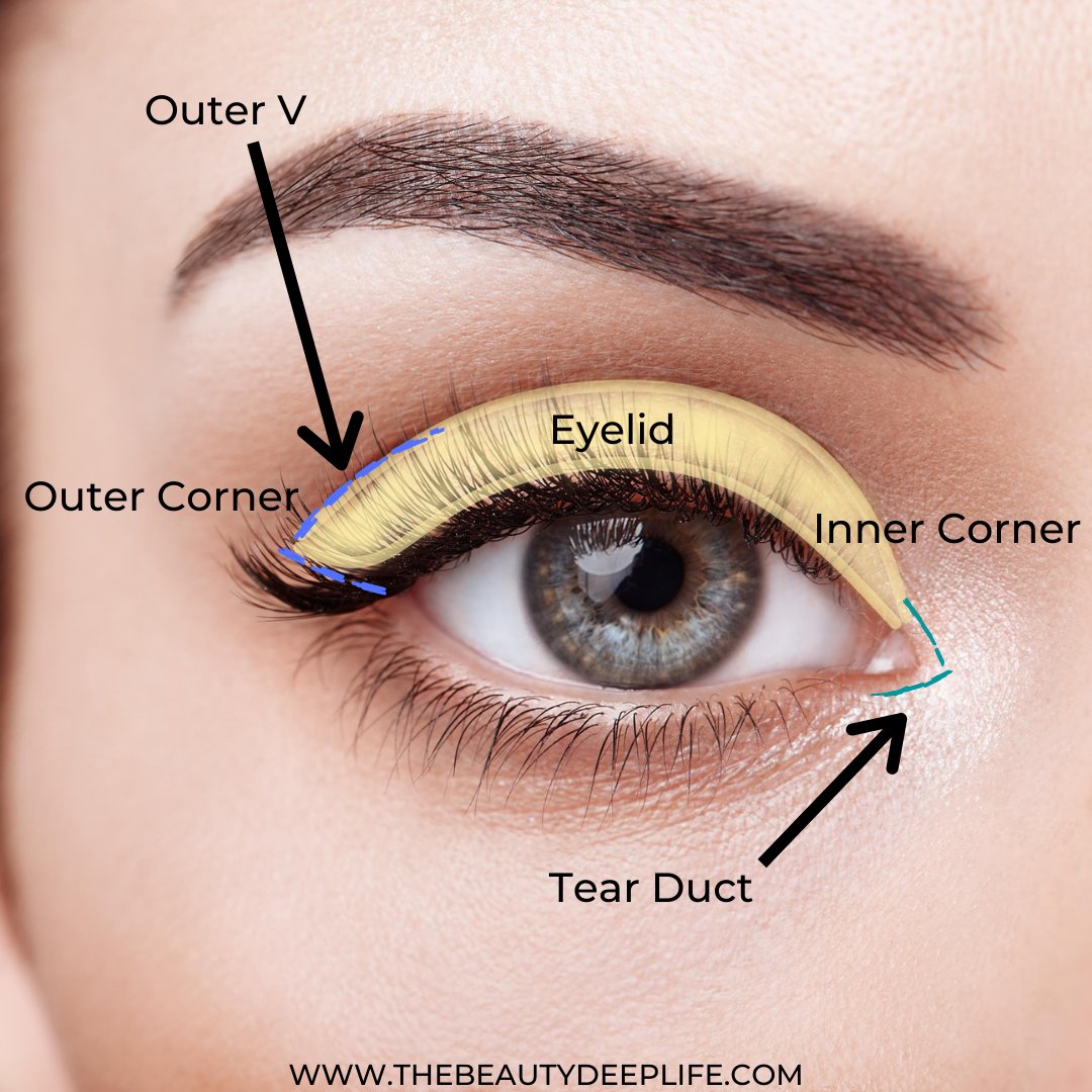 BeautyDeepLife's tweet image. Eye Makeup For Beginners: Step By Step Tips &amp;amp; Eyeshadow Looks! thebeautydeeplife.com/eye-makeup-for…  #makeupforbeginners #eyemakeuptipsforbeginners #eyemakeuptips #easyeyemakeupforbeginners