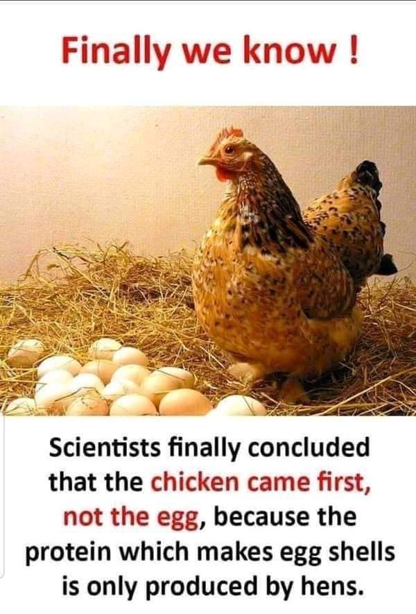 Indeed! 🤔