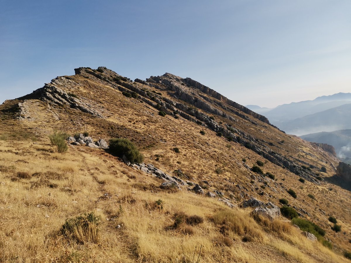 mdavilavm's tweet photo. Caminata matinal explorando nuevas sendas y abriendo posibilidades que habrá que explotar en su momento... Y qué paisajes increíbles a tiro de bota de la ciudad de #Jaén
#PiesPaQueOsQuiero #PuesPaEstasCosicas #SillyWalks #Neveral #Mella #Almodóvar https://t.co/EF8wZSV0rC