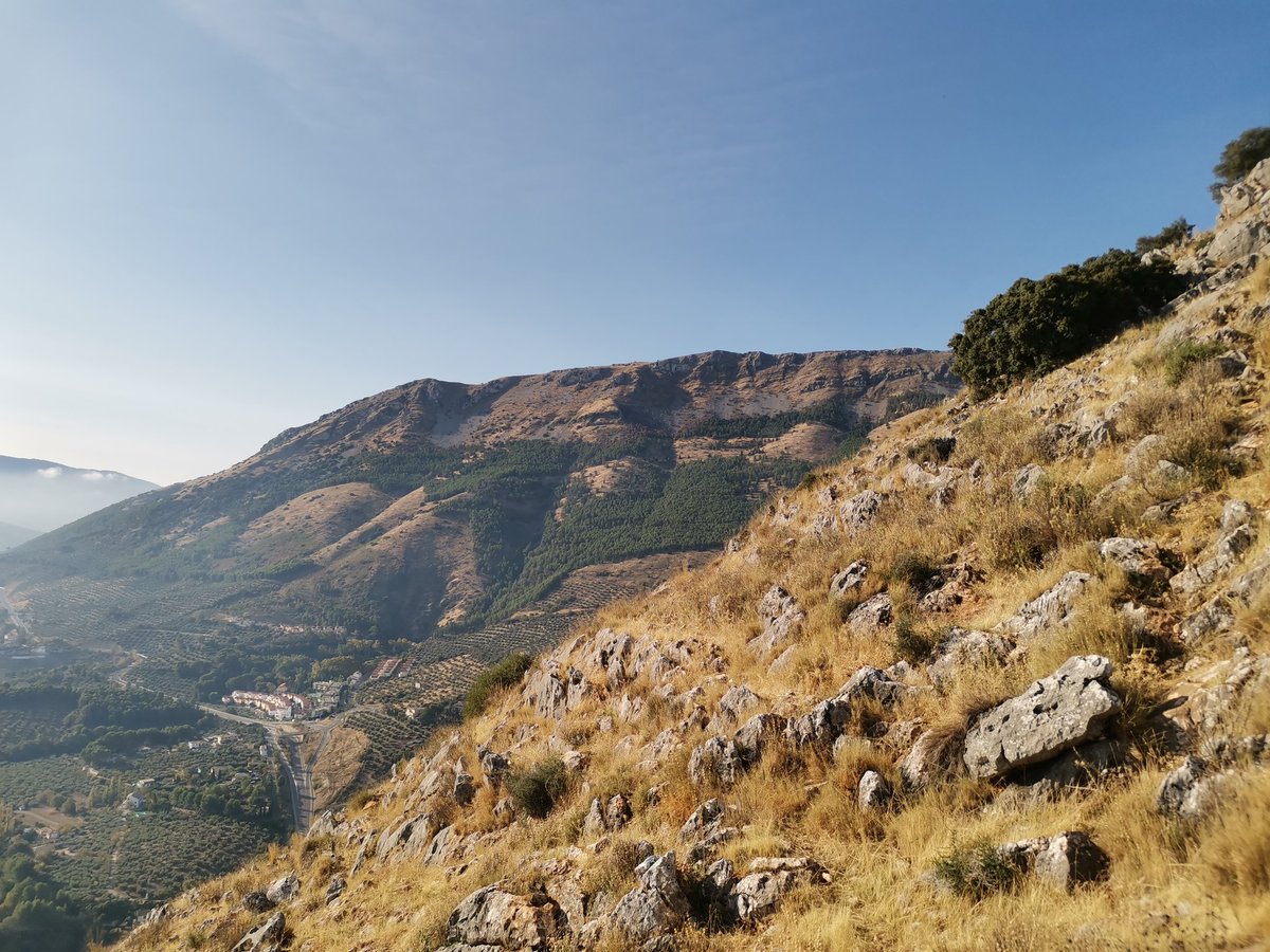 mdavilavm's tweet photo. Caminata matinal explorando nuevas sendas y abriendo posibilidades que habrá que explotar en su momento... Y qué paisajes increíbles a tiro de bota de la ciudad de #Jaén
#PiesPaQueOsQuiero #PuesPaEstasCosicas #SillyWalks #Neveral #Mella #Almodóvar https://t.co/EF8wZSV0rC