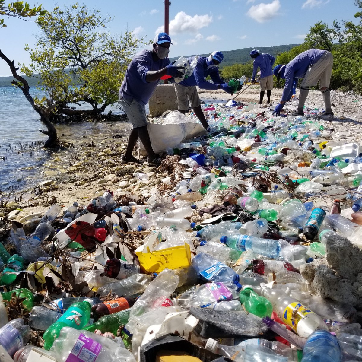 4ocean tweet media