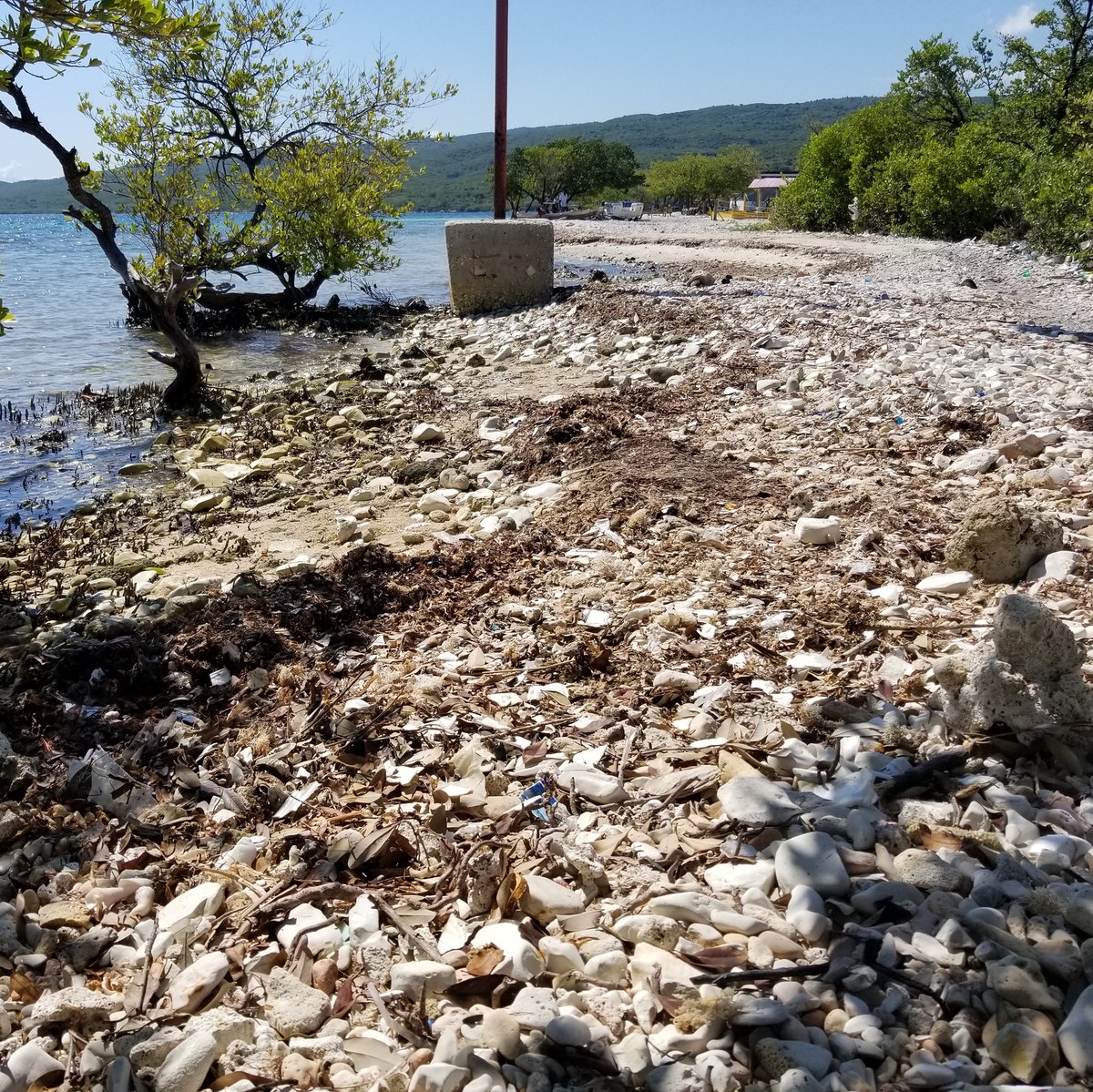 Before ➡️ After

Check out what this coastline off La Gonâve looked after out crews removed 1,195 pounds of trash!

The majority of what they collected was single-use plastic, such as plastic bottles, bags, food containers, and more. 

SAY 'NO' TO SINGLE-USE PLASTIC 🚫