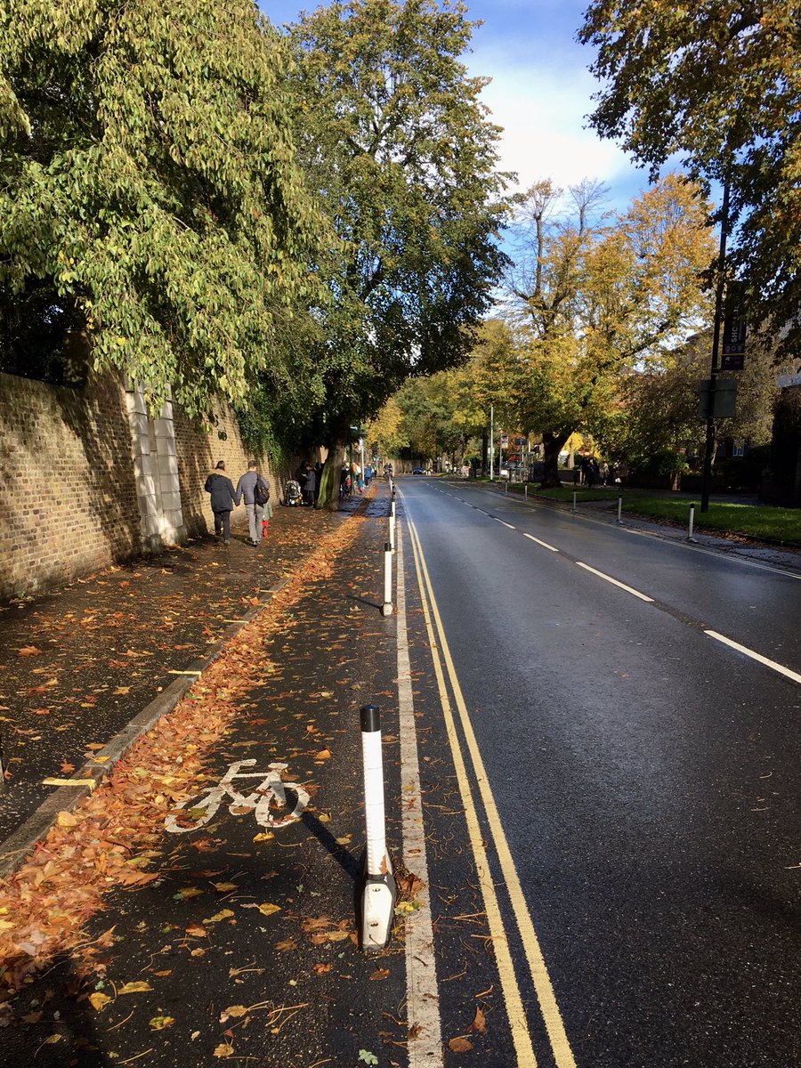 Shocking state of Kew Road cycle lanes today. Entirely predictable, but slippery wet leaves etc from mature trees & autumn rain are causing a real hazard. More still to come. Chose to ride on main carriageway instead and (equally predictably) got abused by drivers. Not safe.