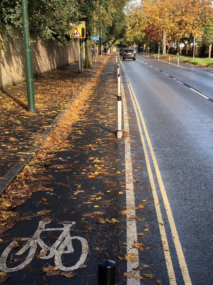 Shocking state of Kew Road cycle lanes today. Entirely predictable, but slippery wet leaves etc from mature trees & autumn rain are causing a real hazard. More still to come. Chose to ride on main carriageway instead and (equally predictably) got abused by drivers. Not safe.