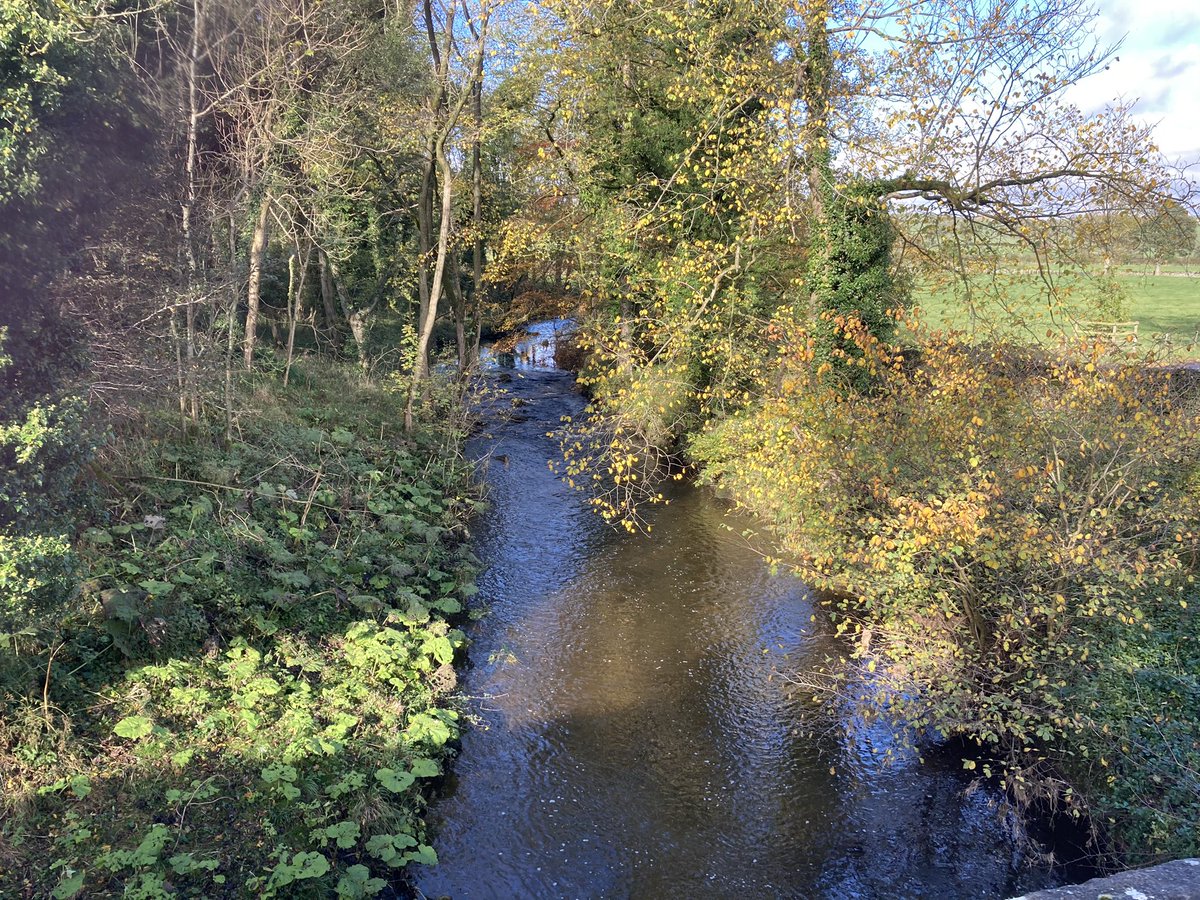 tammini25's tweet photo. Autumn running. Airton and Winterburn....hilly! Think I may have got too used to the canal. Gorgeous though #Yorkshire #Autumn #slowtrot https://t.co/P9NXCf7hHq