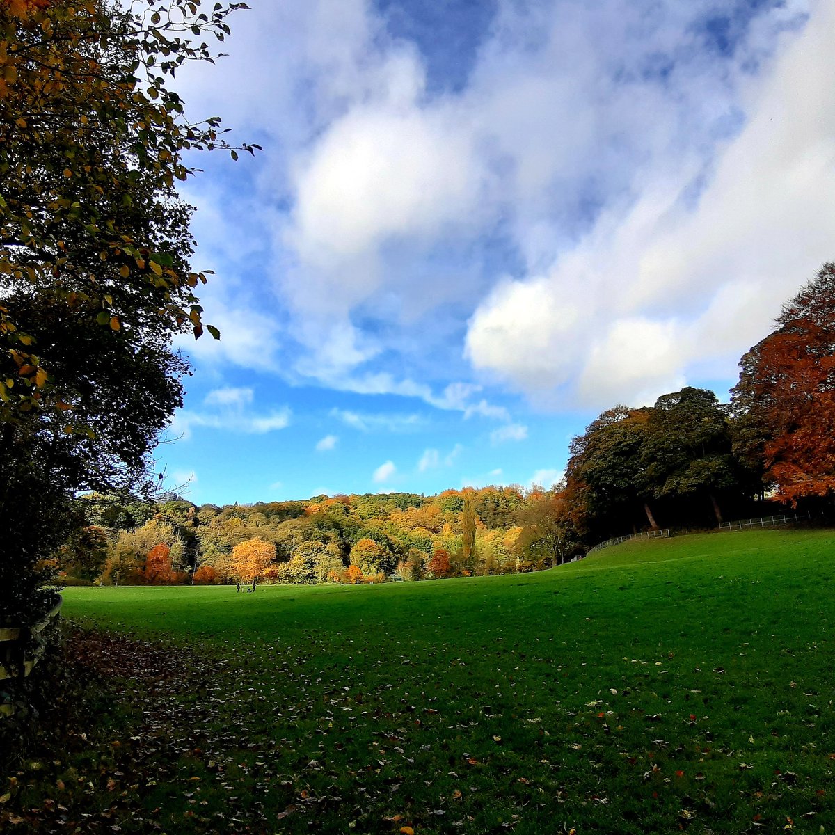 SonjaKielty's tweet photo. ☀️🍁🍂
#myrtlepark #bingley @visitBradford  @Welcome2Yorks @visityorkshire https://t.co/SW4JmI2jkJ