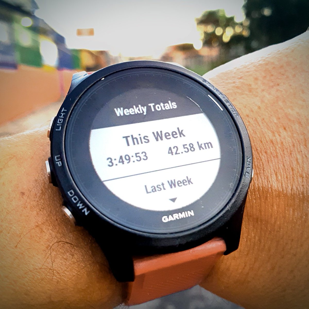 jp_salas's tweet photo. I'm in a New York State of Mind...
.
.
#runner #CostaRica 🇨🇷 #Garmin #nikerunning #adidasrunning #ultraboost #parley #goodr #yoelegicorrer #RTY2017 #PuraVida #run4fun #headsweats https://t.co/hQNoY5VZwa