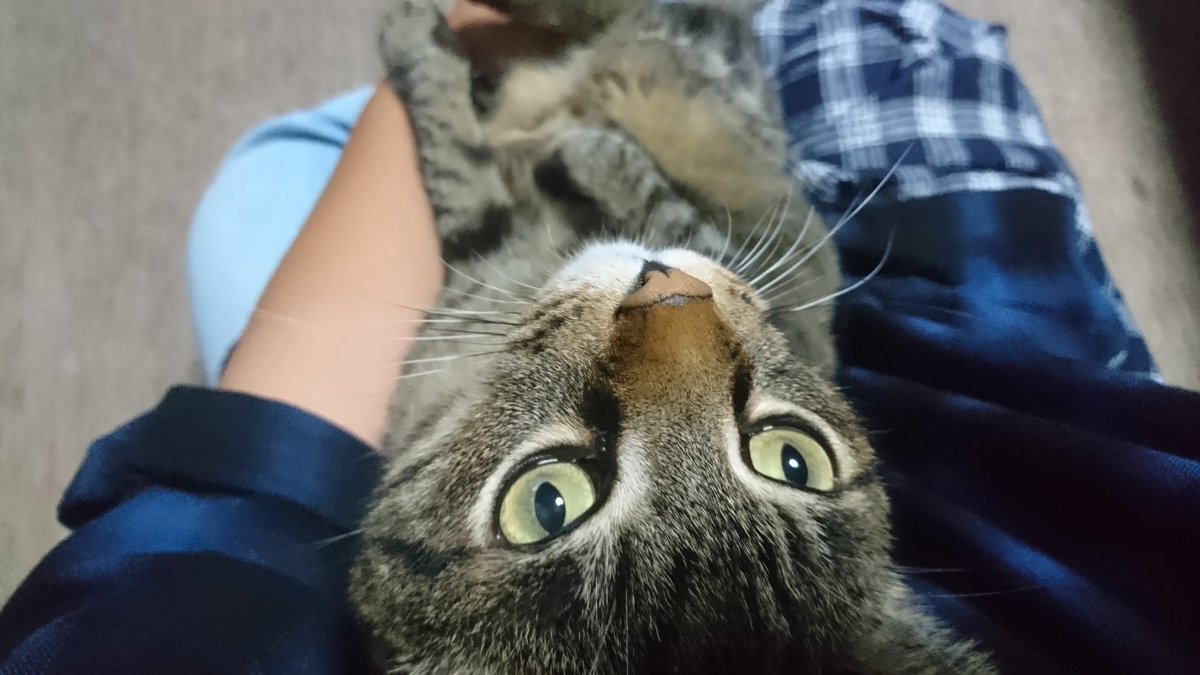 岡野く仔 着物ロリ2巻9 1発売 めっちゃいい名前ですね すけ ろう まる のつく名前が男の子っぽくて好きです 迷いますー