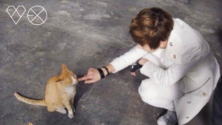 - end of thread -"Animal lovers are a special breed of humans, generous of spirit, full of empathy, perhaps a little prone to sentimentality, and with hearts as big as the cloudless sky"This perfectly describes  #CHANYEOL  #찬열