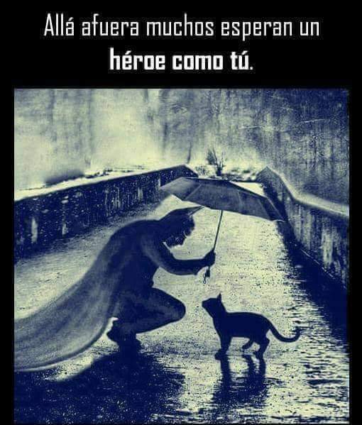 ADAAColmenar's tweet photo. Acogiendo/adoptando puedes cambiar la vida de un animal para siempre.❤️
Ellos te lo agradecerán eternamente y te verán siempre su heroe/heroina. 
Con un animal a tu lado conocerás el amor incondicional. 
➡️ adopciones@adaacolmenar.org
➡️ acogidas@adaacolmenar.org
#AdoptaNoCompres https://t.co/G1KAAJ6XB2