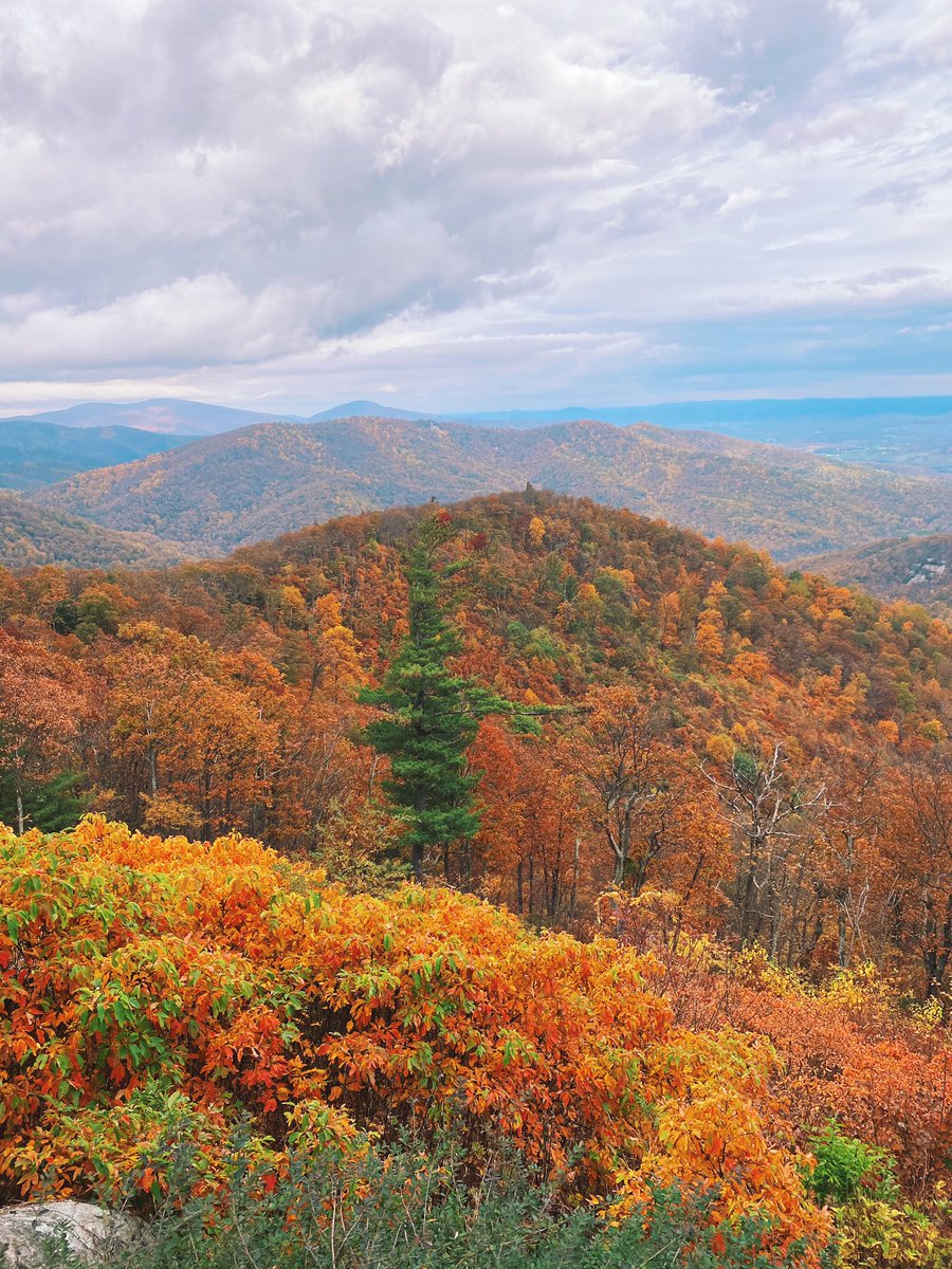 Advil's tweet photo. good morning from the shenendoah valley https://t.co/sWaZYdtv7m