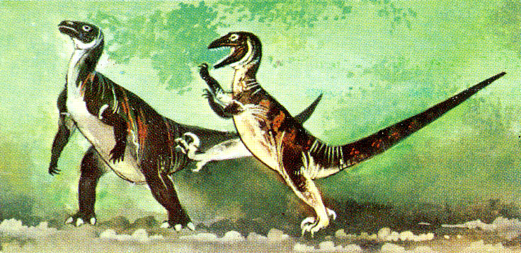Ranaroth2's tweet photo. Deinonychus. Early Cretaceous, 115–108 million years. A genus of dromaeosaurid theropod dinosaur. Art by Maurice Wilson. This is more like the what the velociraptors seen in Jurassic Park are. #cigarettecard #MauriceWilson #Deinonychus #Dinosaur #JurassicPark https://t.co/se7H3FtDbs
