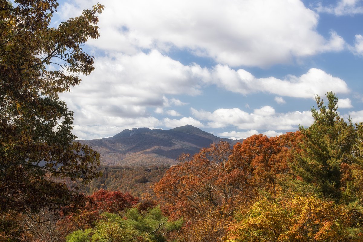 GrandfatherMtn's tweet photo. #Fallcolor frames the view of #GrandfatherMountain from nearby #BlowingRock.

#GrandfatherMtn #BlowingRockNC #fallcolor2020 #fall2020 #autumn #autumn2020 #fallfoliage #foliage #leafseason #ncmountains #booneview #828isgreat #outdoors #nature #VisitNC

Photo by Skip Sickler | GMSF https://t.co/ZDAKN6KHdk
