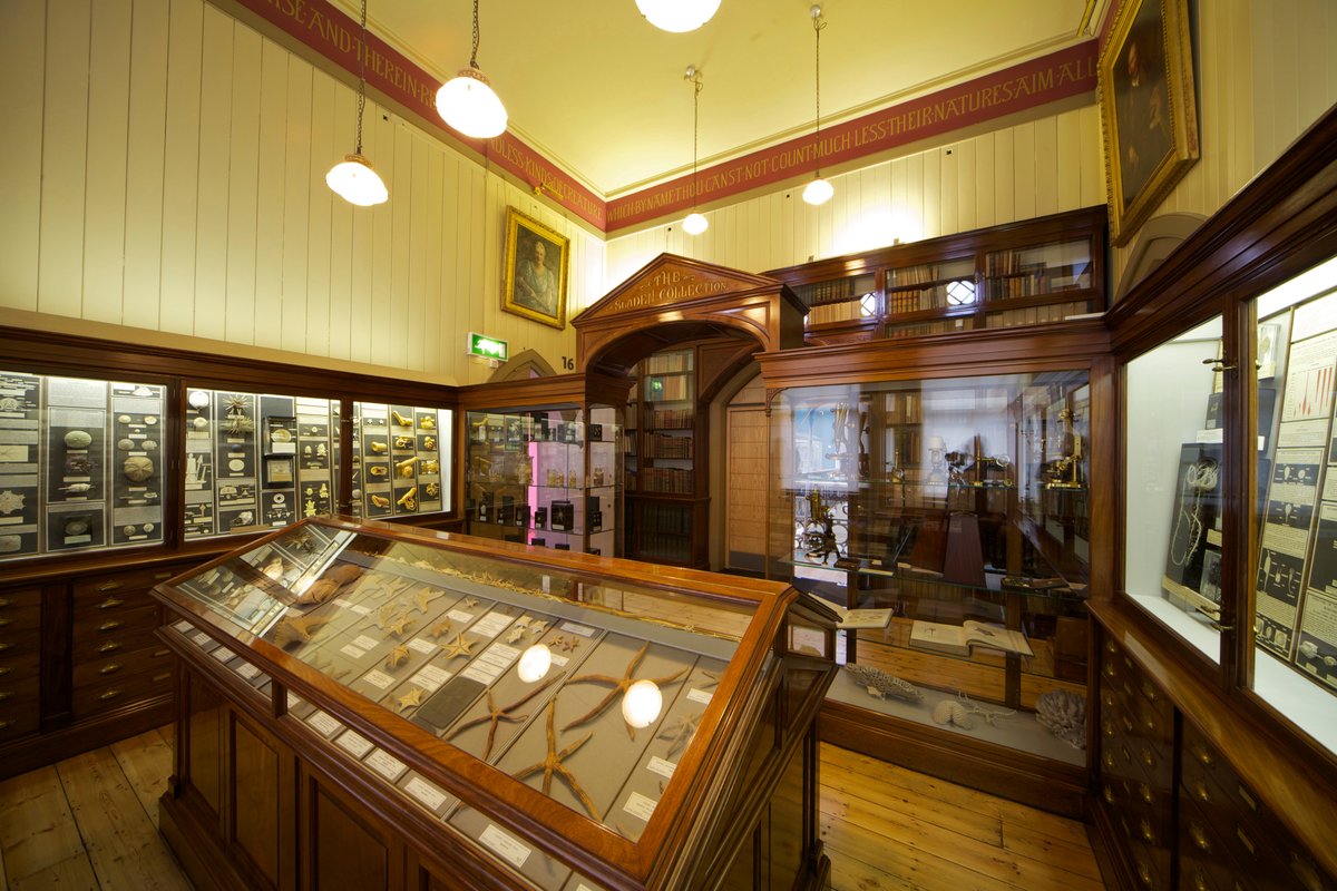 RAMMuseum's tweet photo. #RAMM is OPEN! ❤️

If you have visited, we would love to see photos of your favourite parts of the museum, or for you to share what you have missed the most. 

Use #RAMMIsBack and get sharing those snaps! 📸

#RAMMExeter #DevonMuseums #SaveTheArts #CultureInQuarantine https://t.co/57IgdqcBWd