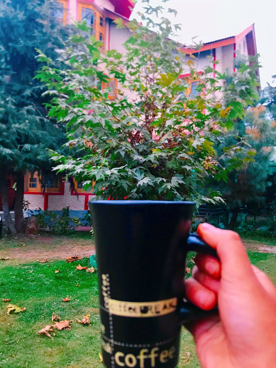sakeena_wani's tweet photo. Doors are for people with no imagination.
Derek Land~~~~~
#CoffeeInMySoulπ
#HomeCreativityπ¦
Credits Sakeena Waniππ https://t.co/Y2jHaVO07Q
