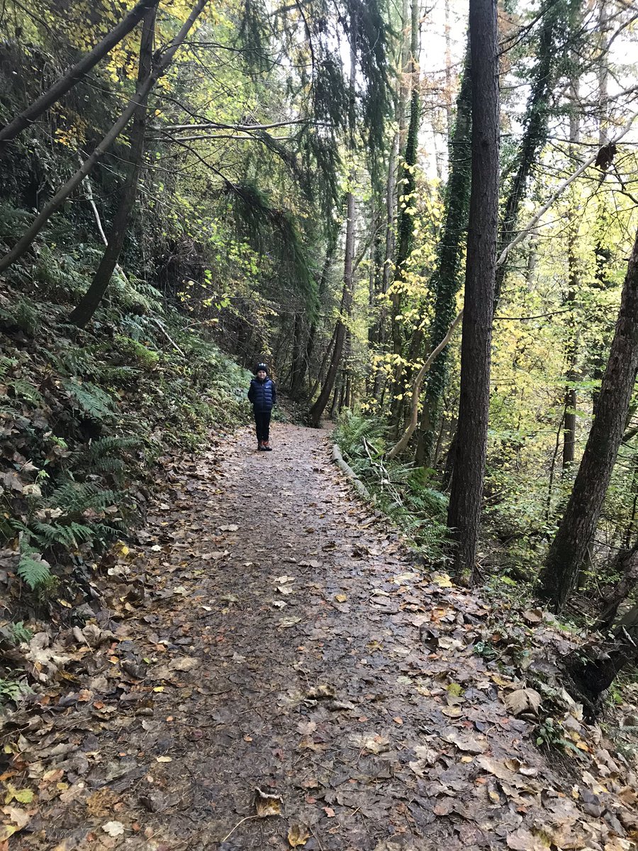 David Colgan tweet media