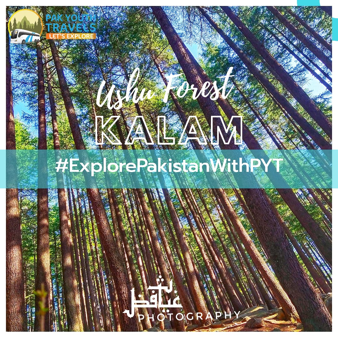 Ambreen_ahsan1's tweet photo. All beautiful place is the heart of Pakistan.
#ExplorePakistanWithPYT https://t.co/ioTBOVGZkv
